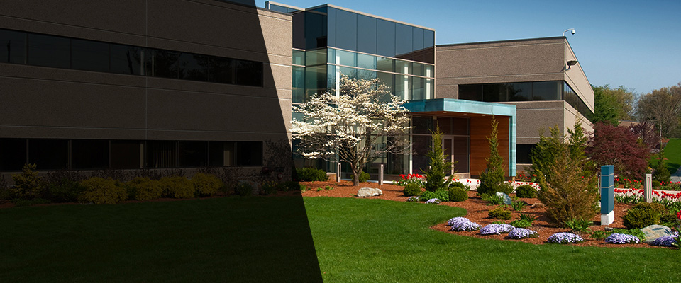 San Anselmo Landscapers