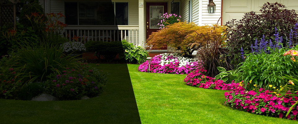 San Anselmo Landscapers