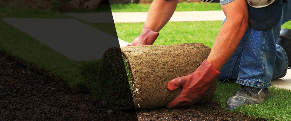 San Anselmo Landscapers